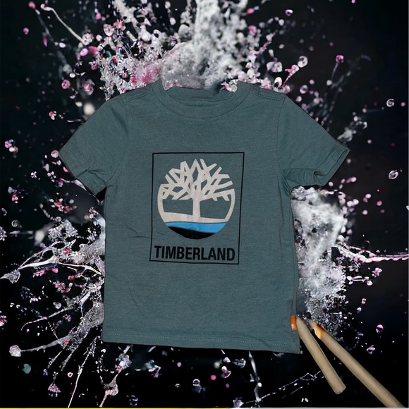 Timberland Other - Timberland Tee 2T